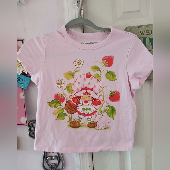 Hybrid Apparel Tops - Hybrid Apparel Strawberry Shortcake Women's Pink Top Size Small Teen Tween